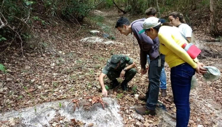 Foto Iwska Isadora (2)