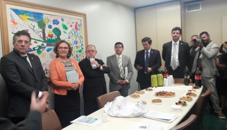 Deputada Zenaide Maia na Comissão