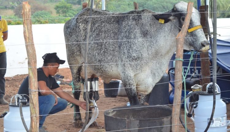 69478887_2491400141090750_4483420333415596032_n-e1661188858346-1536×944