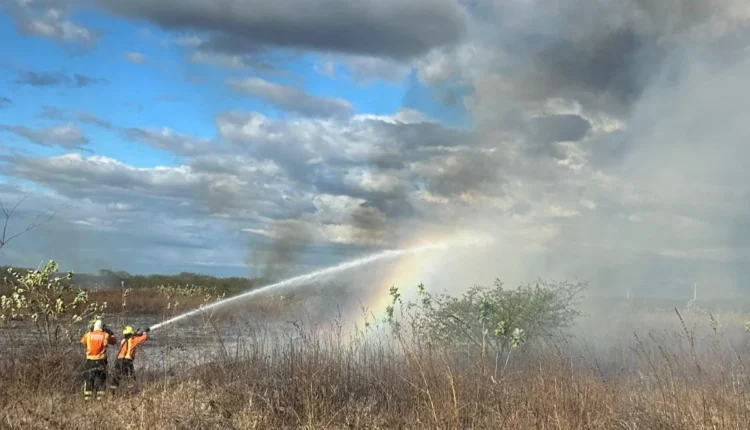 Texto-do-seu-paragrafo-2025-09-05T083721.975